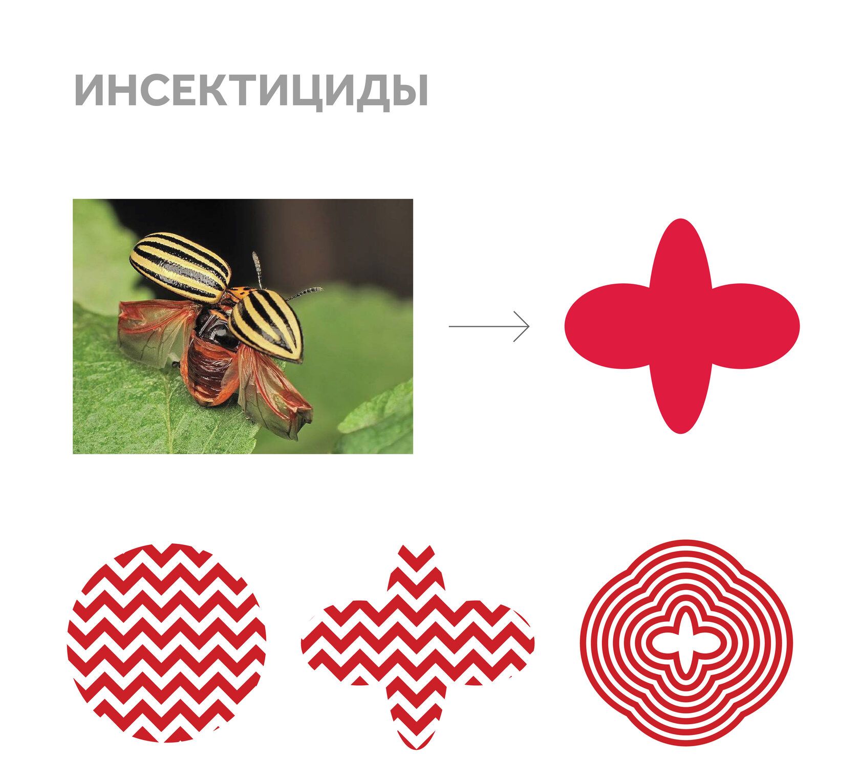 инсектициды инсектициды